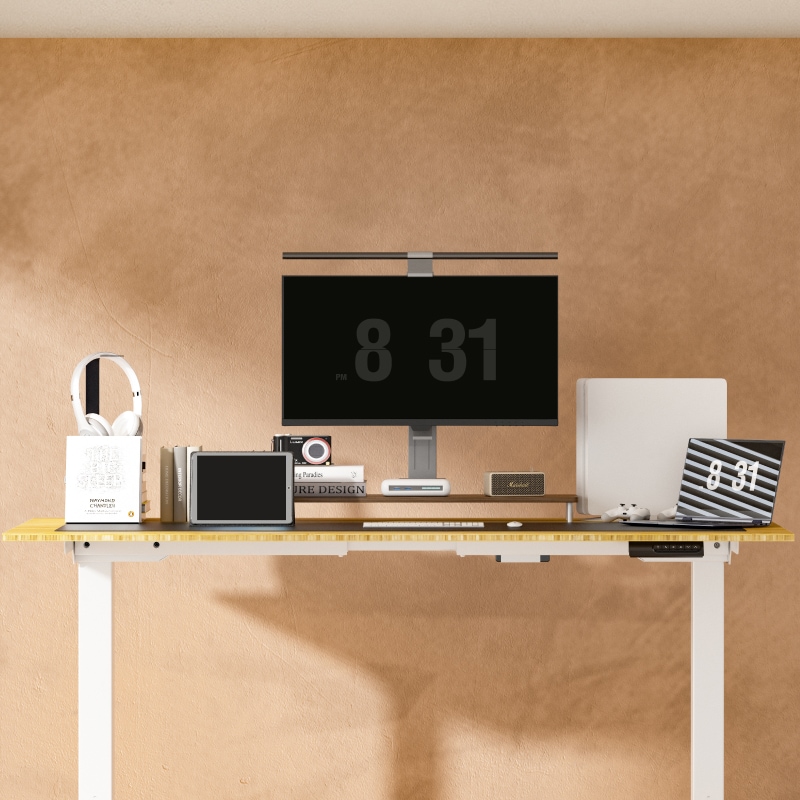 E5 Electric Height Adjustable Standing Desk | FlexiSpot US